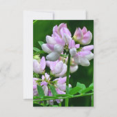 Rosa und weiße Blume Einladung (Vorderseite)