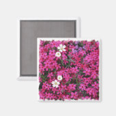 Rosa und weiße Blume Magnet (Vorderseite/Rückseite)