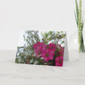 Rosa und weiße Blume - Martha's Vineyard Card Karte (Vorderseite)