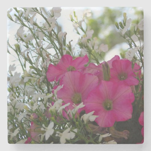 Rosa und weiße Blume - Martha's Vineyard Steinuntersetzer (Vorderseite)