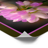 Rosa und weiße Blume Nah Abstrakt Poster (Ecke)