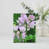 Rosa und weiße Blume Postkarte (Stehend Vorderseite)