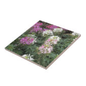 Rosa und weiße Blüten Fliese (Seite)