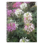 Rosa und weiße Blüten Notizblock (Vorderseite)