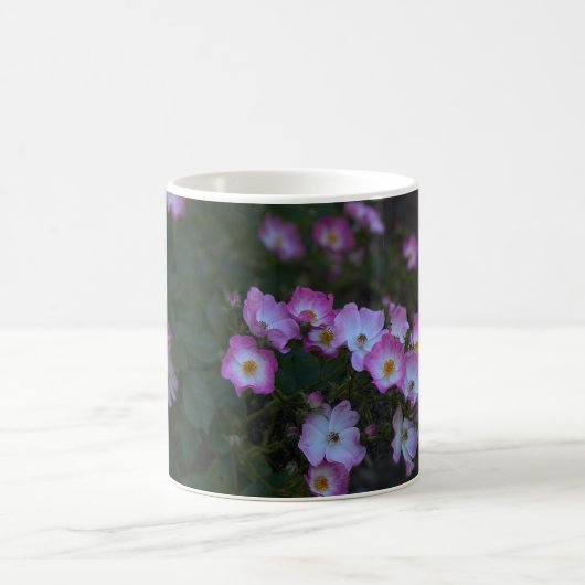 Rosa und weiße Bush-Rose Kaffeetasse (Mittel)