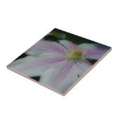 Rosa und weiße Clematis Blume Natur Fliese (Seite)