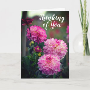 Rosa und weiße Dahlia Blume Denken Sie an Sie Karte