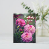Rosa und weiße Dahlia Blume Denken Sie an Sie Postkarte (Stehend Vorderseite)