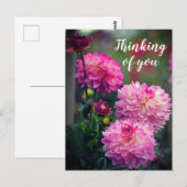 Rosa und weiße Dahlia Blume Denken Sie an Sie Postkarte (Vorne/Hinten)