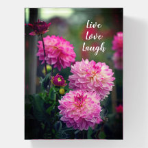 Rosa und weiße Dahlia Blume Motivierend