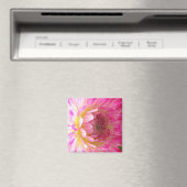 Rosa und weiße Dahlia Magnet (In Situ (Geschirrspüler))