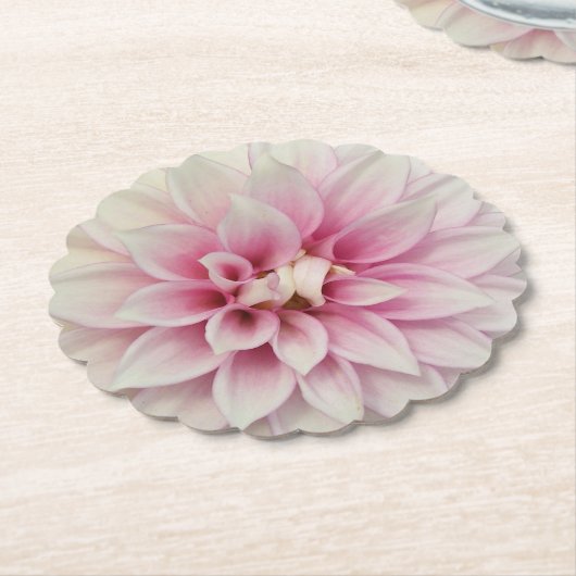 Rosa und weiße Dahlia Untersetzer (angewinkelt)
