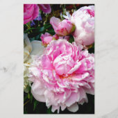 Rosa und weiße Erdnüsse Briefpapier (Vorderseite)