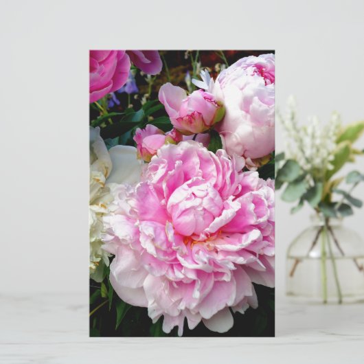 Rosa und weiße Erdnüsse Briefpapier (Stehend Vorderseite)