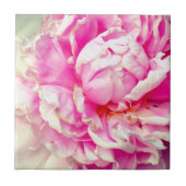 Rosa und weiße Erdnüsse Fliese (Vorderseite)