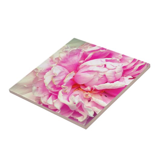 Rosa und weiße Erdnüsse Fliese (Seite)