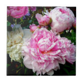 Rosa und weiße Erdnüsse Fliese (Vorderseite)