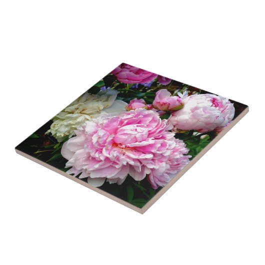 Rosa und weiße Erdnüsse Fliese (Seite)