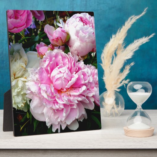 Rosa und weiße Erdnüsse Fotoplatte (Seite)