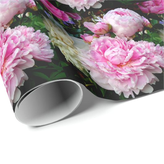 Rosa und weiße Erdnüsse Geschenkpapier (Rolleneckpunkt)