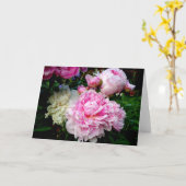 Rosa und weiße Erdnüsse Karte (Gelbe Blume)