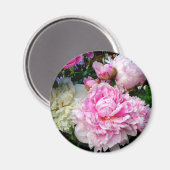 Rosa und weiße Erdnüsse Magnet (Vorderseite/Rückseite)