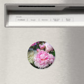 Rosa und weiße Erdnüsse Magnet (In Situ (Geschirrspüler))