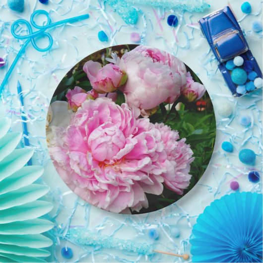 Rosa und weiße Erdnüsse Pappteller (Party)