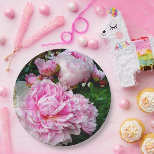 Rosa und weiße Erdnüsse Pappteller (Party)