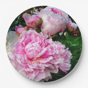 Rosa und weiße Erdnüsse Pappteller