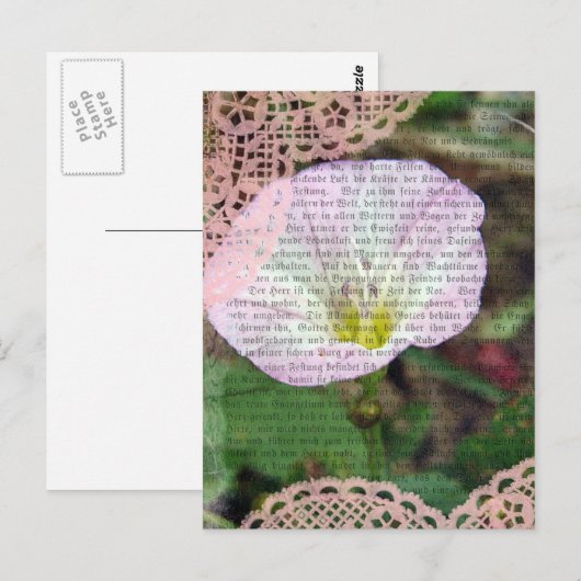 Rosa und weiße Feldbindlinge Postkarte (Vorne/Hinten)