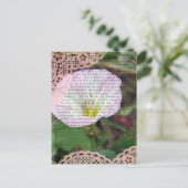 Rosa und weiße FeldbindWeed Postkarte (Stehend Vorderseite)