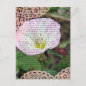 Rosa und weiße FeldbindWeed Postkarte (Vorderseite)