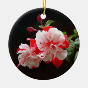 Rosa und weiße Fuchsie Keramik Ornament