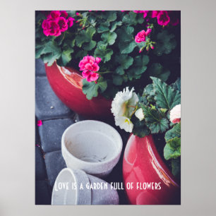 Rosa und weiße Gartengeranienblüten Poster