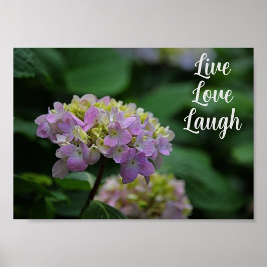 Rosa und weiße Hydrangea-Blume Motivierend Poster (Vorne)