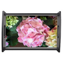 Rosa und weiße Hydrangeas