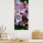 Rosa und weiße Laurel Blume Poster (Küche)