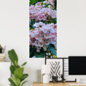 Rosa und weiße Laurel Blume Poster (Heimbüro)
