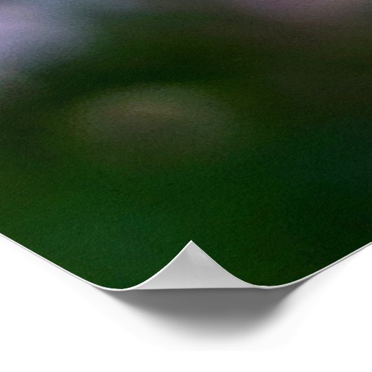 Rosa und weiße Laurel Blume Poster (Ecke)