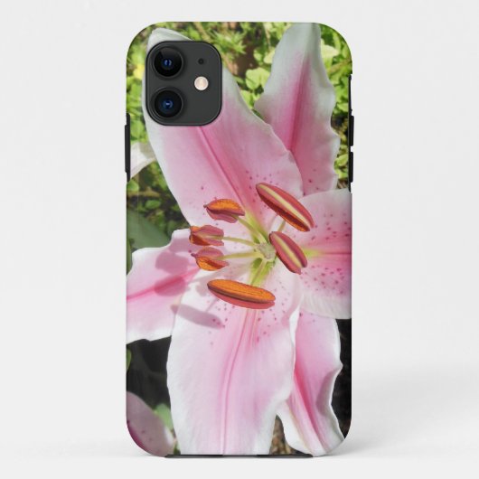 Rosa und weiße Lilien-Blume Case-Mate iPhone Hülle (Rückseite)