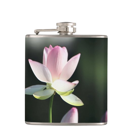 Rosa und weiße Lotus-Blume Flachmann (Vorderseite)