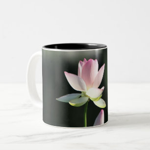 Rosa und weiße Lotus-Blume Zweifarbige Tasse