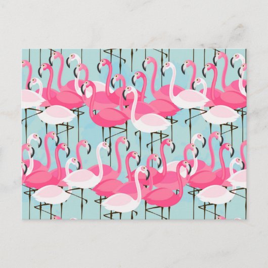 Rosa und weiße Menschenmenge von Flamingos Postkarte (Vorderseite)