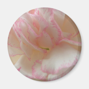 Rosa und weiße Nelkenprägung Magnet