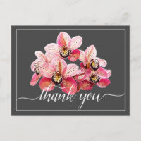 Rosa und weiße Orchideen grauer Hintergrund Dankes
