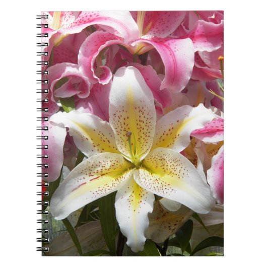 Rosa und weiße Orientalische Lilien Notizblock (Vorderseite)