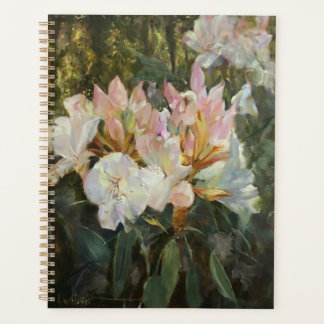 Rosa und weiße Rhododendren Tiefgrüne Foliage Planer