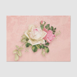 Rosa und Weiße Rose Bouquet Seidenpapier