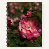 Rosa und Weiße Rose, Hardcover Notizblock (Vorderseite)